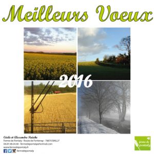 Meilleurs Voeux !