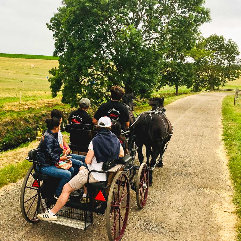 Ferme de Pontaly, accessible en calèche Calèche dans les champs de la Ferme de Pontaly