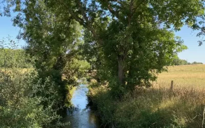 Balade sensorielle à la Ferme de Pontaly : éveiller les enfants à la beauté de la nature